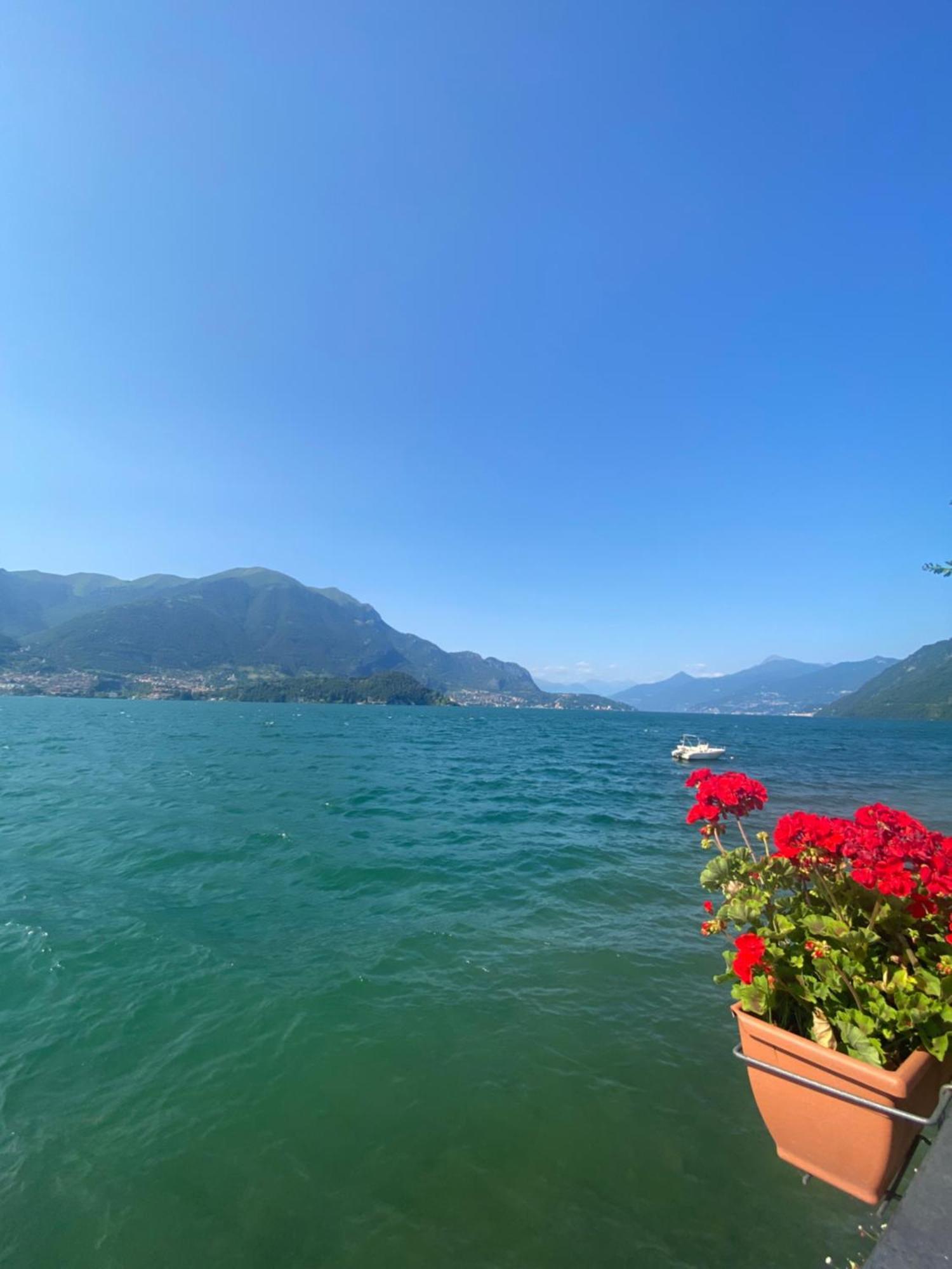 Peonia Apartment - Appartamento Vista Lago Lezzeno Esterno foto