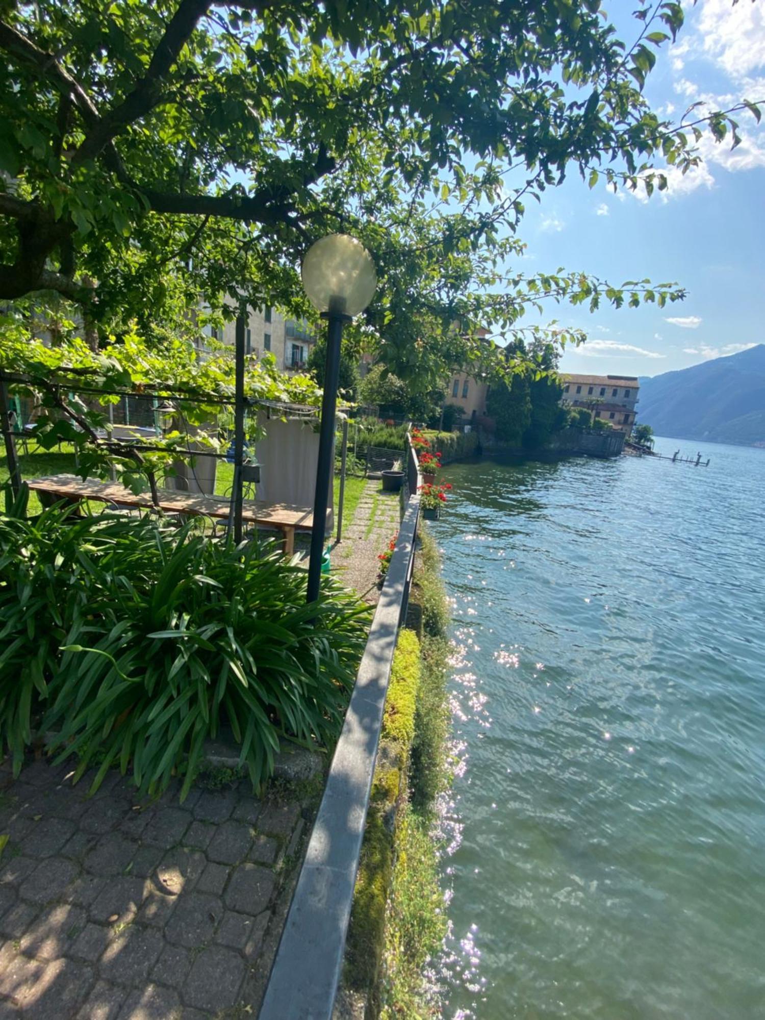 Peonia Apartment - Appartamento Vista Lago Lezzeno Esterno foto