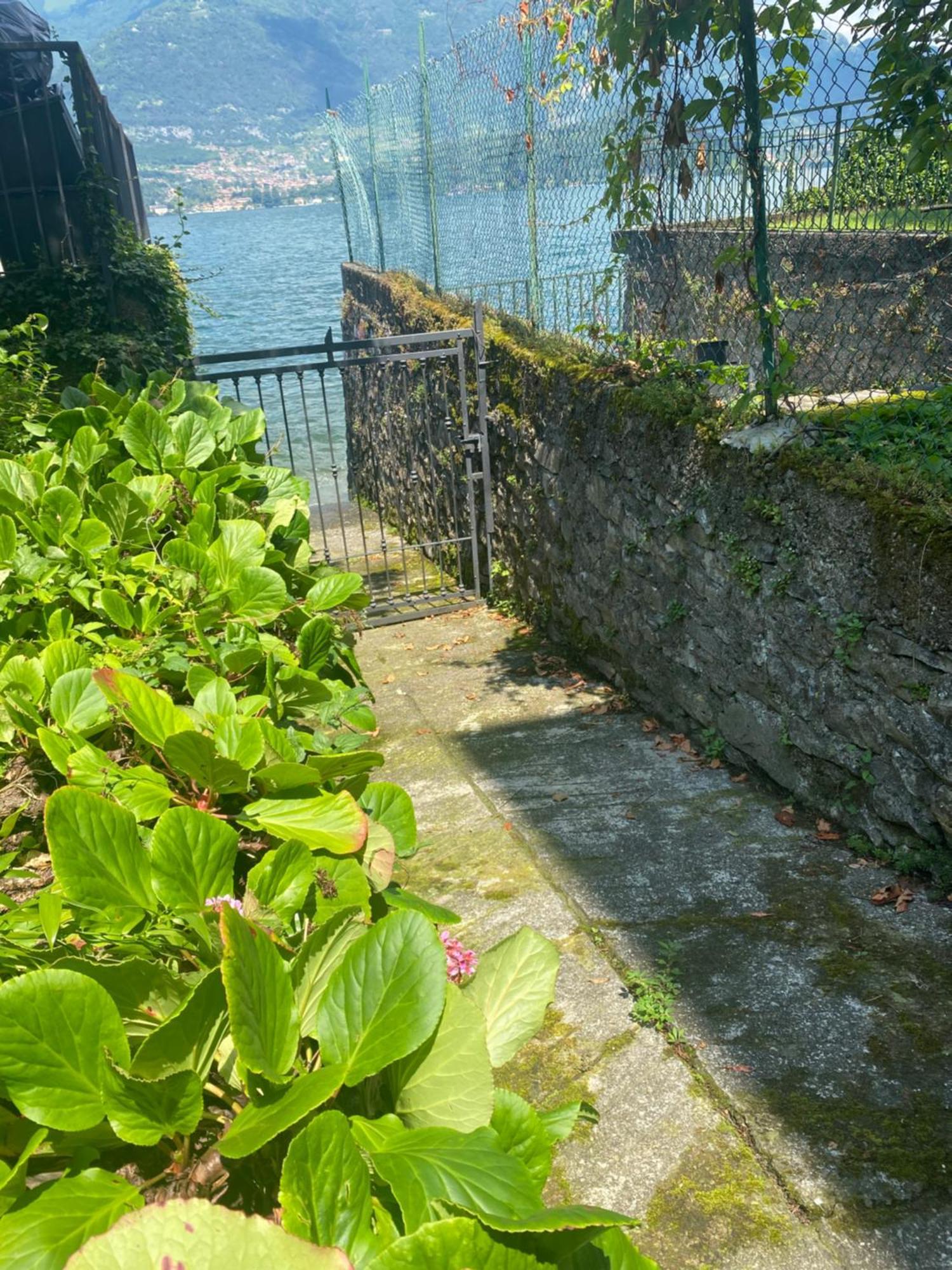 Peonia Apartment - Appartamento Vista Lago Lezzeno Esterno foto