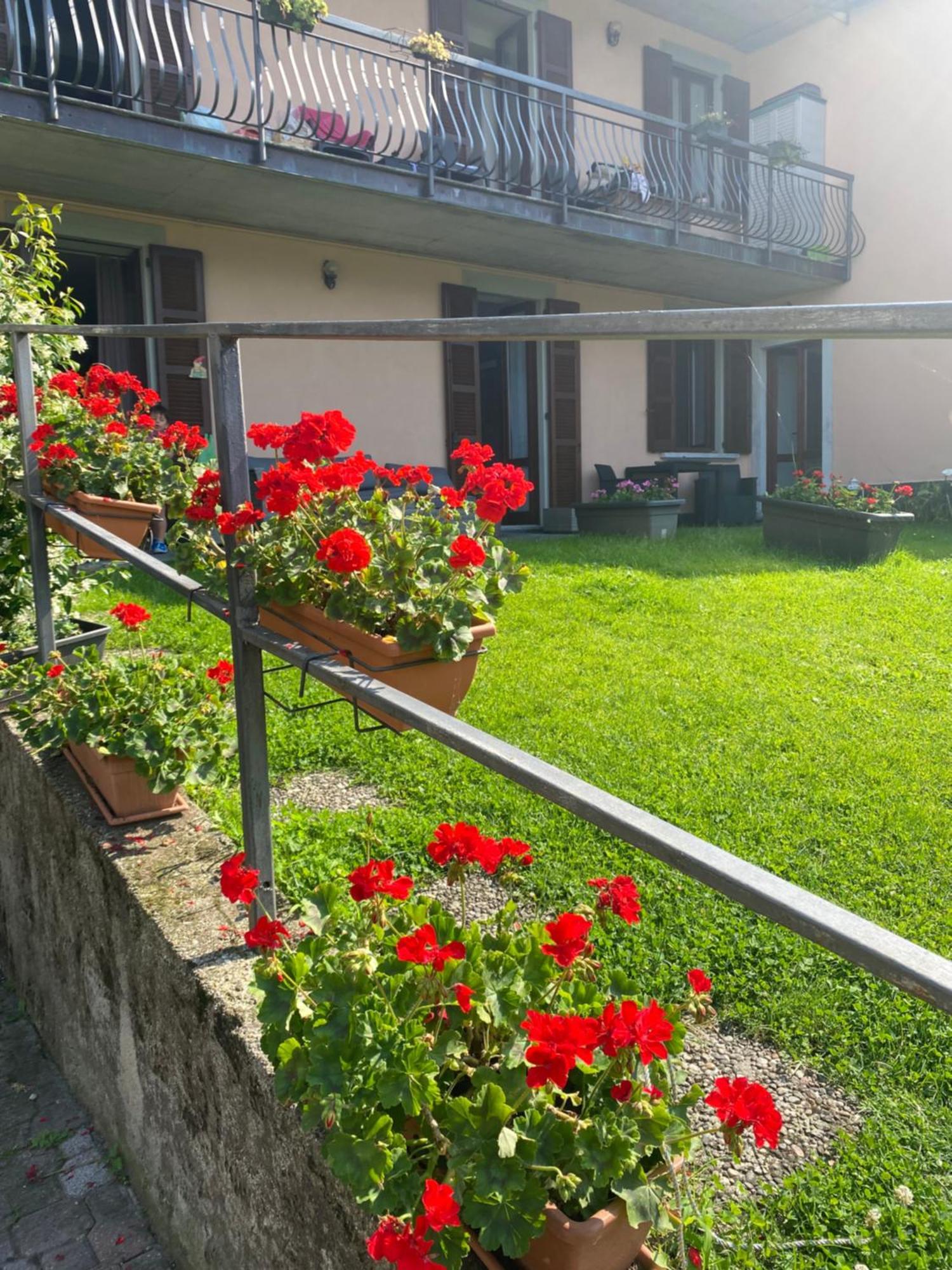 Peonia Apartment - Appartamento Vista Lago Lezzeno Esterno foto