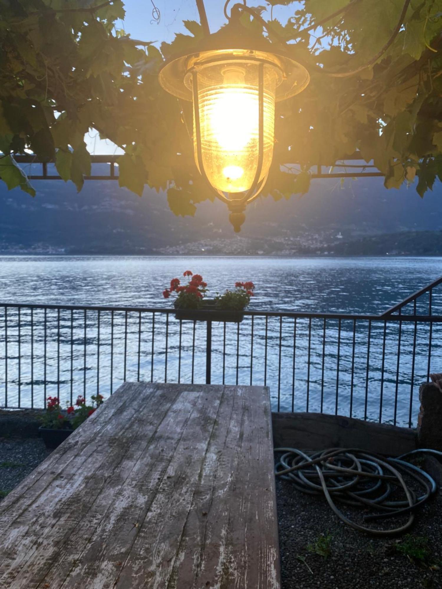 Peonia Apartment - Appartamento Vista Lago Lezzeno Esterno foto