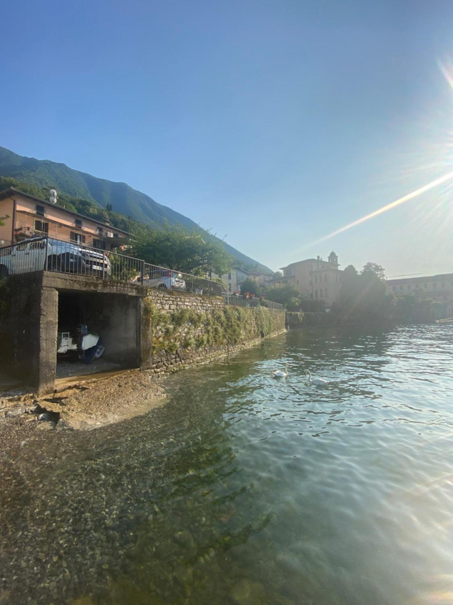 Peonia Apartment - Appartamento Vista Lago Lezzeno Esterno foto