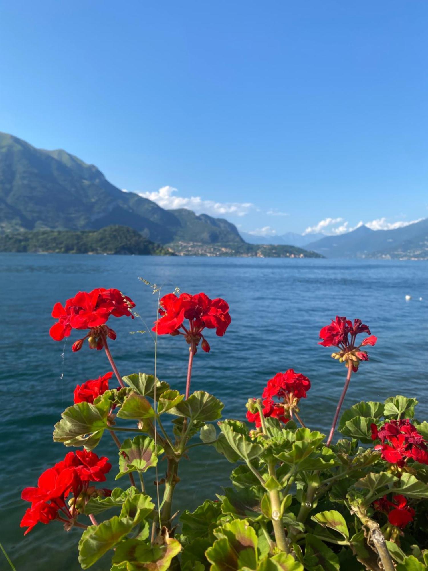 Peonia Apartment - Appartamento Vista Lago Lezzeno Esterno foto